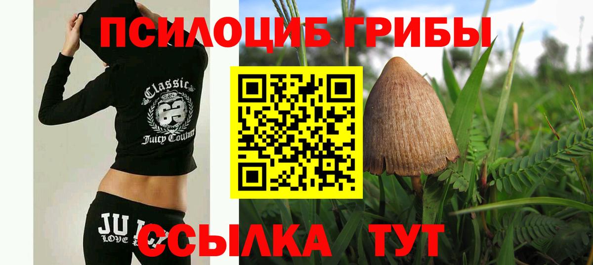 Железногорск  Галлюциногенные грибы MAGIC MUSHROOMS  Вход с VPN 